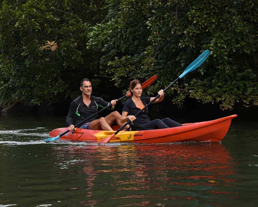 Mauritius: Guided Kayak Tour on Tamarin River - Tamarin Bay launch: the calm start that sets the tone
