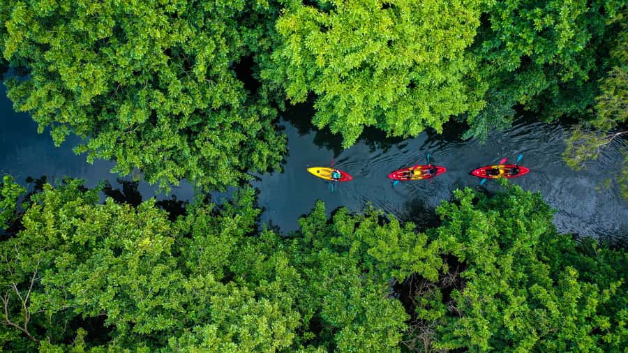 Mauritius: Guided Kayak Tour on Tamarin River - Upstream on Tamarin River: the two-arm route and mountain views