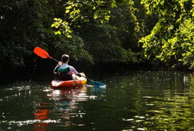 Mauritius: Guided Kayak Tour on Tamarin River - Learning to kayak without making it a lesson