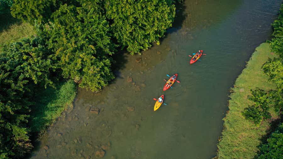 Mauritius: Guided Kayak Tour on Tamarin River - Timing and pace: 90 minutes on paper, a bit more on the water