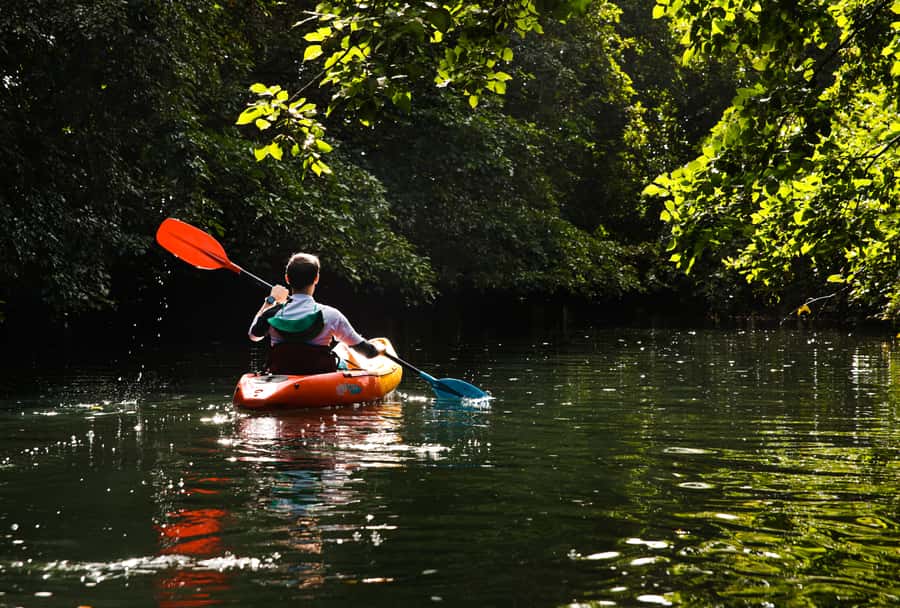 Mauritius: Guided Kayak Tour on Tamarin River - Learning to kayak without making it a lesson