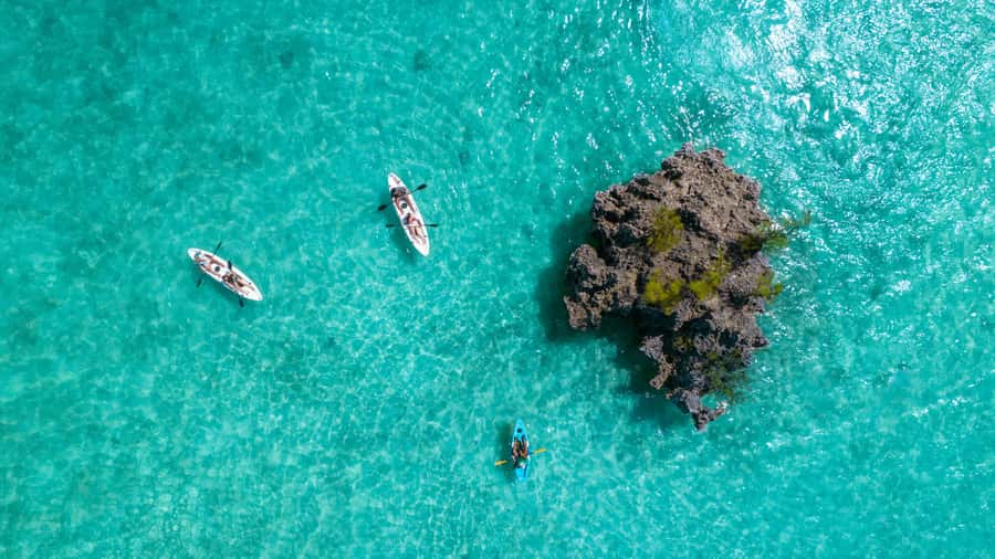 Mauritius: Guided Kayak tour to Benitiers Island - Key things to know before you book