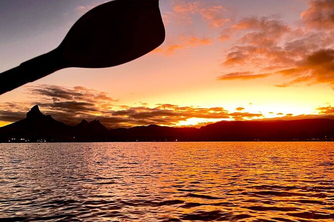 Mauritius: Guided Sunrise Kayak Tour on the Tamarin River - Wildlife and bird time: spotting without trying too hard
