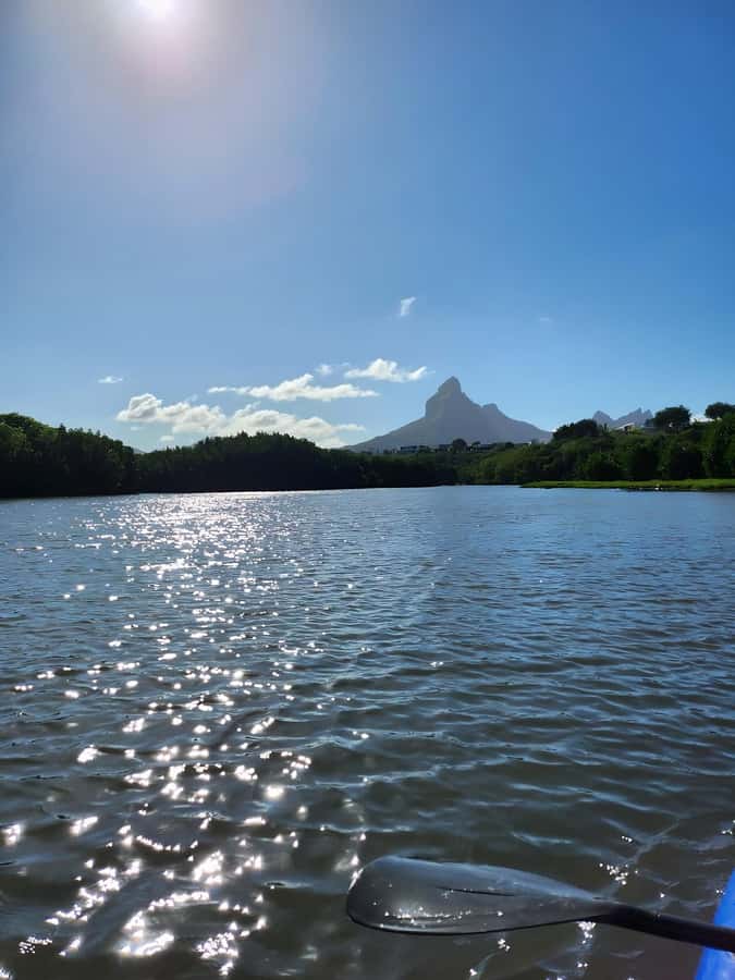 Mauritius: River Guided Kayak Tour with Monkeys - Kayaking the Rempart River: why it feels special in Mauritius