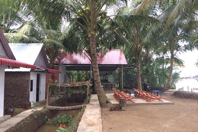 Mekong Delta Tour with Kayaking, Cycling and Cooking - Bee farm and coconut candy: small stops that make souvenirs make sense