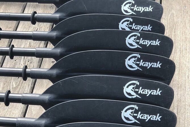 Melbourne City Sights Kayak Tour - Weather, clothing, and day-of tips that actually matter