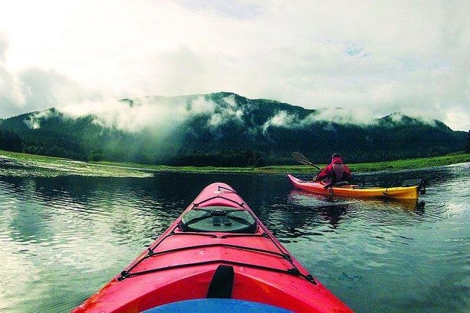 Mendenhall Glacier View Sea Kayaking - Snacks and stories: where the tour adds meaning
