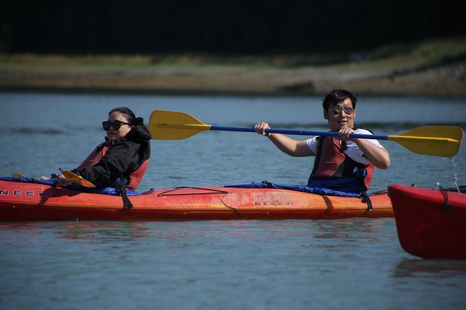 Mendenhall Glacier View Sea Kayaking - Price and value: is $159 worth it in Juneau?