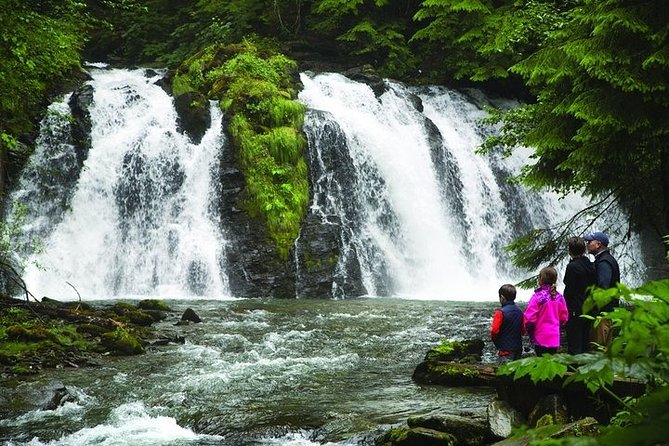 Mendenhall Lake Kayak Tour - Wildlife chances: what you can spot (and what you should not assume)