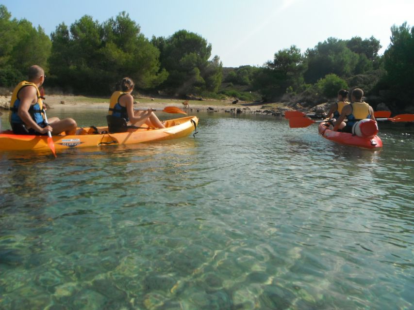 Menorca: Half-Day Kayak Excursion in Fornells - Quick Notes on Language, Weather, and Planning Your Morning