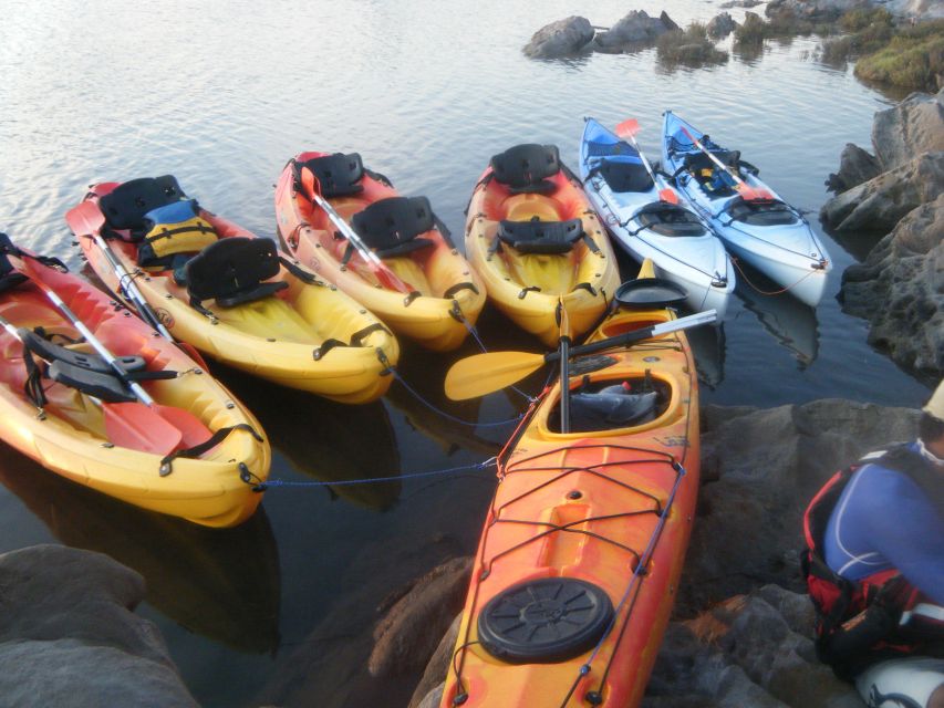Menorca: Half-Day Kayak Excursion in Fornells - Cala Blanca and the Cave of the English Man: Why Kayak Access Matters