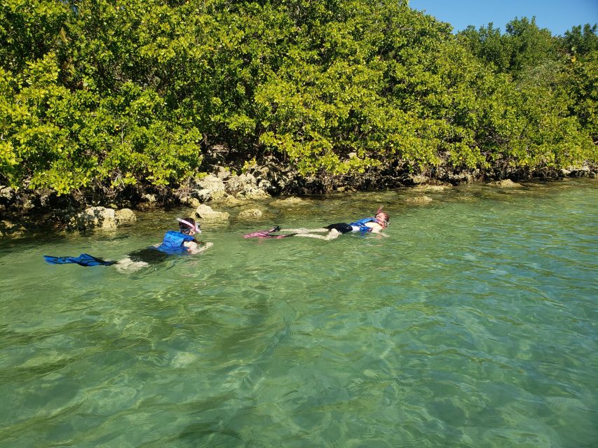 Miami: Beginner-Friendly Island Snorkeling by SUP or Kayak - Key Things I’d Pay Attention To