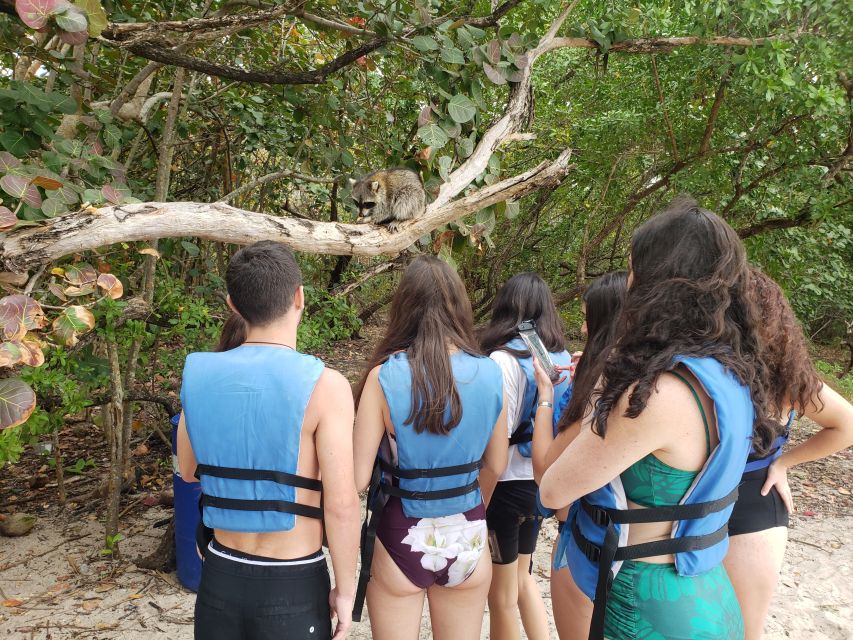 Miami: Beginner-Friendly Island Snorkeling by SUP or Kayak - Who Should Book This Miami Snorkel Paddle?