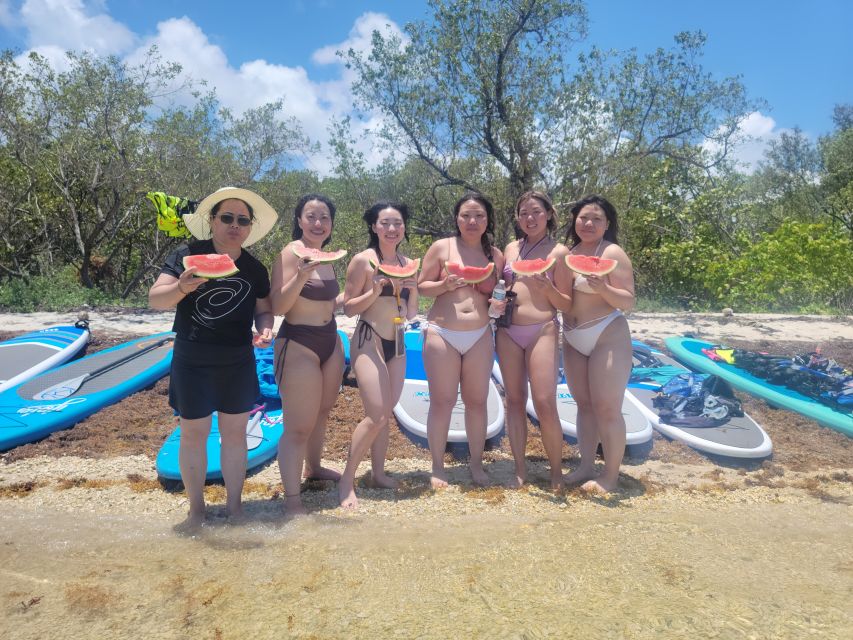 Miami: Beginner-Friendly Island Snorkeling by SUP or Kayak - Wildlife Watching: Raccoons, Iguanas, and the Fun of Pausing Often