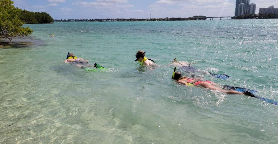 Miami: Beginner-Friendly Island Snorkeling by SUP or Kayak - Beach Break With Fresh Fruit and Unlimited Drinks