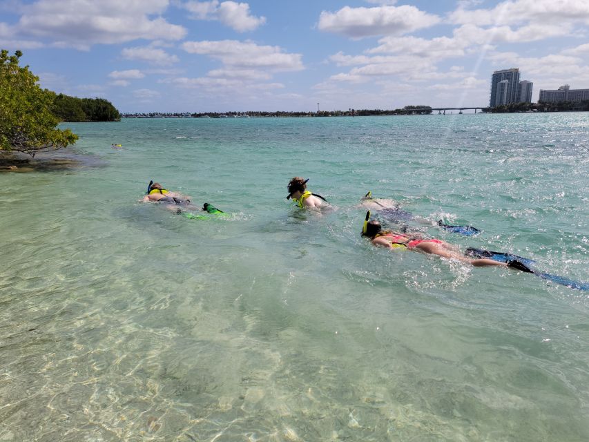 Miami: Beginner-Friendly Island Snorkeling by SUP or Kayak - Price and Time: Why $99 Can Be a Good Deal (If You Want a Full Day)