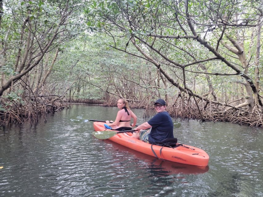 Miami: Beginner-Friendly Island Snorkeling by SUP or Kayak - Your First Lesson: How SUP or Kayak Basics Actually Feel on Day One