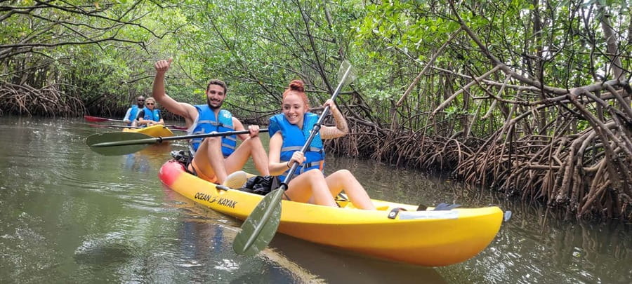 Miami: Biscayne Bay Ultimate Boat Tour with Kayak Experience - Key Points You’ll Actually Care About
