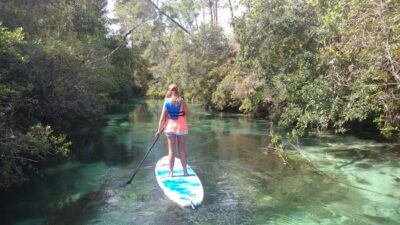Miami: Biscayne Bay Ultimate Boat Tour with Kayak Experience - Biscayne Bay Wildlife Cruise: Dolphins, Manatees, and Conservation Talk
