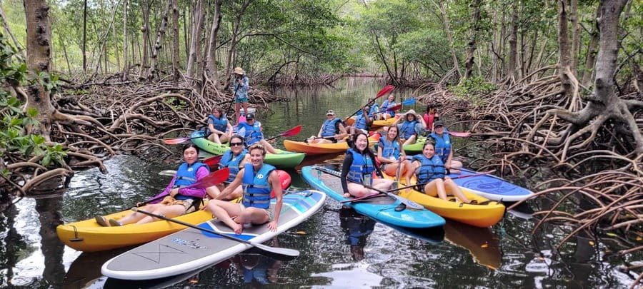 Miami: Biscayne Bay Ultimate Boat Tour with Kayak Experience - Price and Value at $99: A Lot of Time on Water, Not Just One Stop