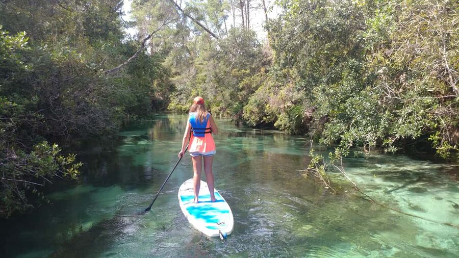 Miami: Biscayne Bay Ultimate Boat Tour with Kayak Experience - Biscayne Bay Wildlife Cruise: Dolphins, Manatees, and Conservation Talk