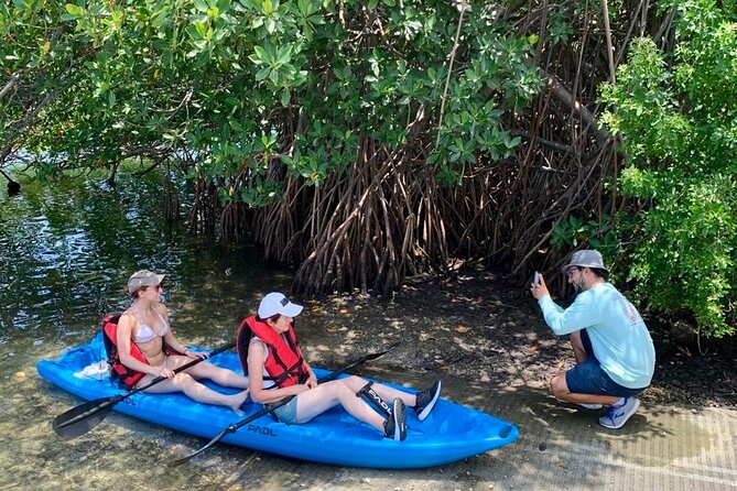 Miami Kayak and Paddleboard Rentals in Virginia Key - Lamar Lake paddling: calm water, plus the wildlife payoff
