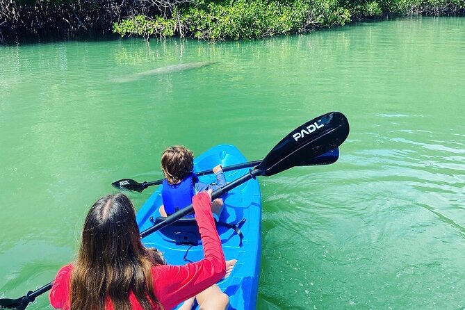 Miami Kayak and Paddleboard Rentals in Virginia Key - Price and value: is $25 worth it for one hour?