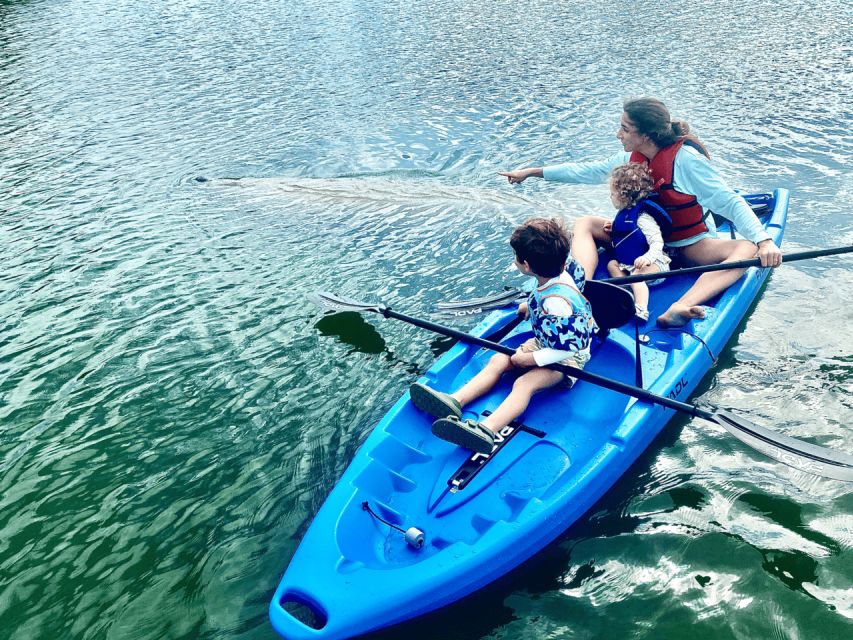 Miami: Manatee Season Paddleboard or Kayak Tour - Key things that make this paddle tour worth it