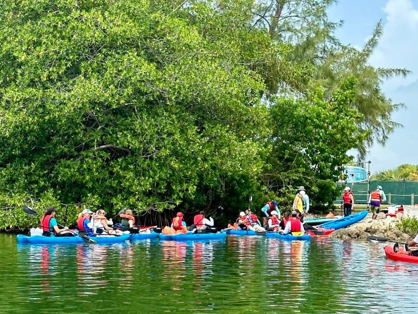 Miami: Manatee Season Paddleboard or Kayak Tour - Virginia Key Paddle Launch: Start Point, Setup, and First Minutes
