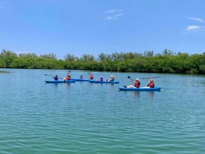 Miami: Manatee Season Paddleboard or Kayak Tour - Manatee Season in Biscayne Bay: What You’re Really Chasing