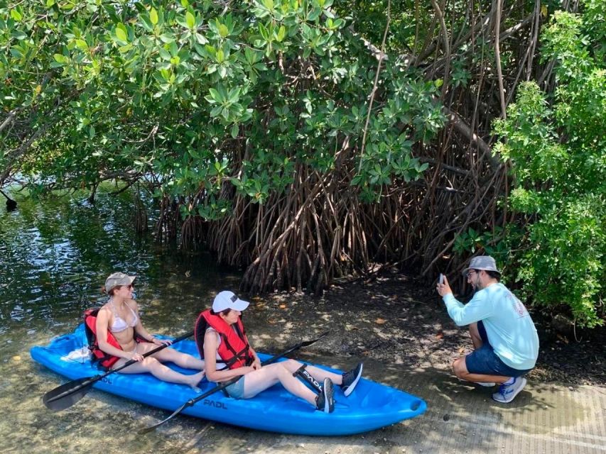 Miami: Manatee Season Paddleboard or Kayak Tour - Miami Skyline Views From the Water: The Urban Bonus You’ll Notice