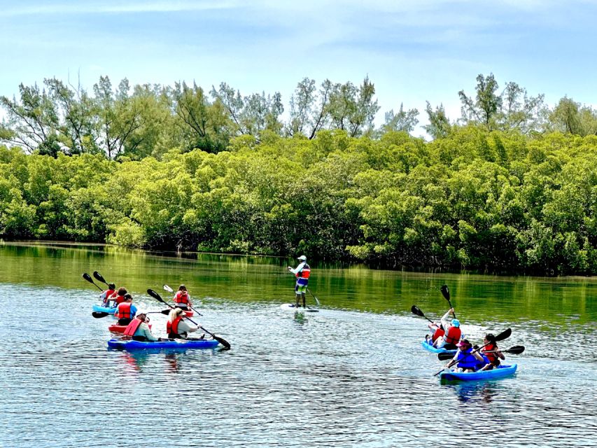 Miami: Manatee Season Paddleboard or Kayak Tour - Guides, Safety, and Gear: How the Tour Keeps It Easy