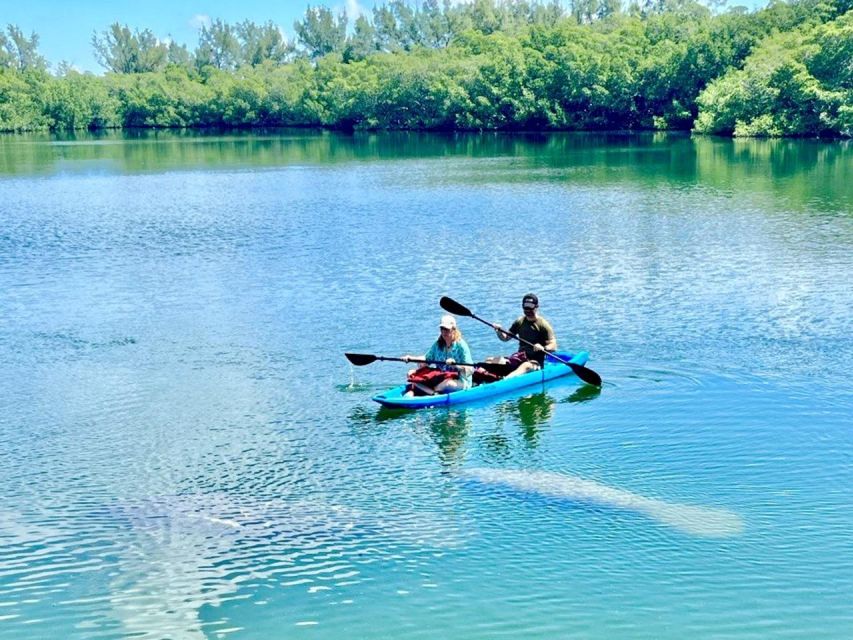 Miami: Manatee Season Paddleboard or Kayak Tour - What 2 Hours Feels Like on the Water (No Guesswork Needed)