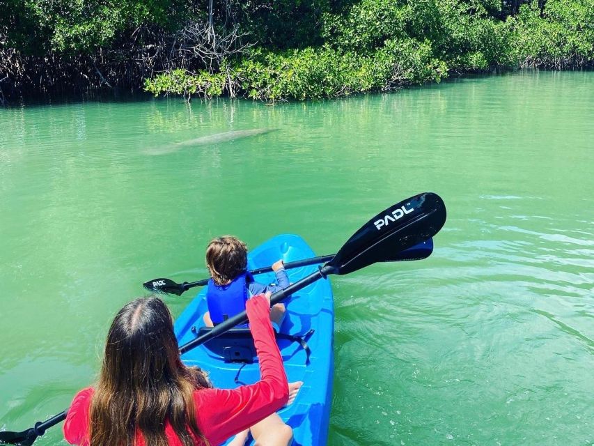 Miami: Manatee Season Paddleboard or Kayak Tour - Who This Tour Fits Best (And Who Should Skip It)