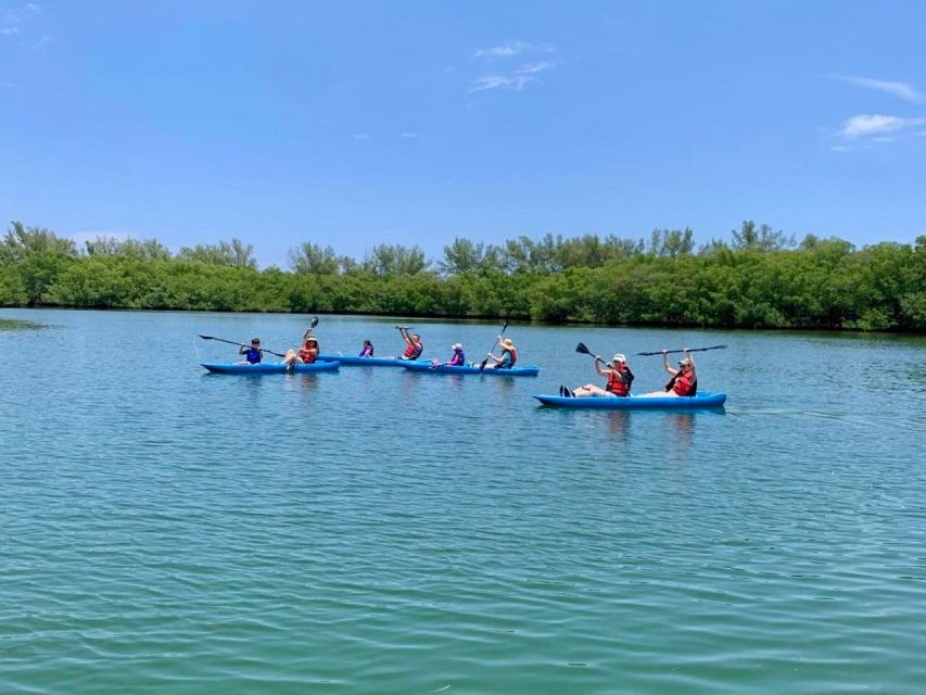 Miami: Manatee Season Paddleboard or Kayak Tour - Manatee Season in Biscayne Bay: What You’re Really Chasing