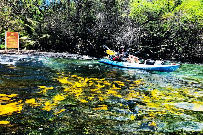 Midday Meander - Kealakekua Bay Kayak and Snorkel Adventure - Kealakekua check-in: Kona Boys, gear setup, and the rules you’ll use