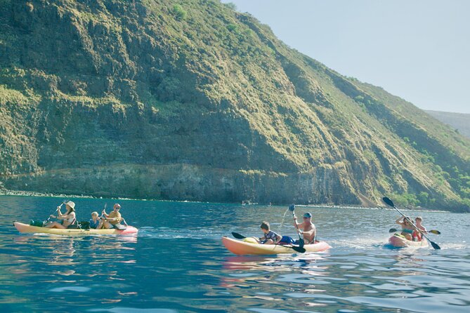 Midday Meander - Kealakekua Bay Kayak and Snorkel Adventure - Snorkeling the Ka’awaloa coastline: cliff views and deep reef life