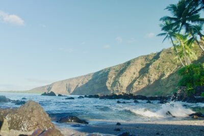 Midday Meander - Kealakekua Bay Kayak and Snorkel Adventure - Captain Cook Monument and the Kealakekua Bay State Historical Park area
