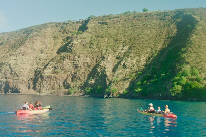 Midday Meander - Kealakekua Bay Kayak and Snorkel Adventure - Snack and story time from The Coffee Shack, then an easy return paddle
