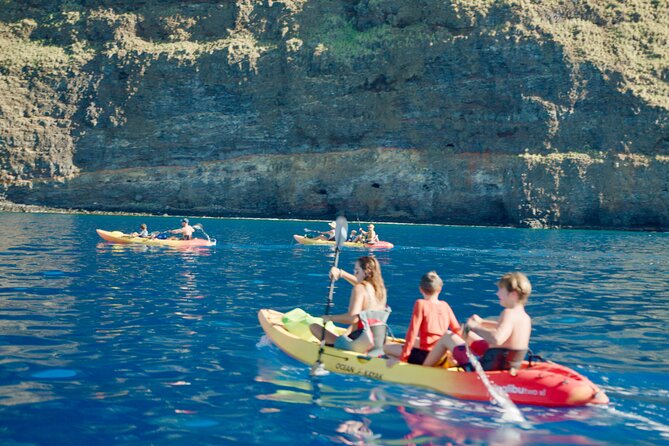 Midday Meander - Kealakekua Bay Kayak and Snorkel Adventure - Price and what you’re really paying for: $187.45 for a guided day in Kealakekua