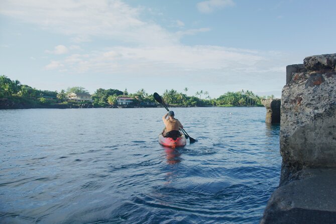 Midday Meander - Kealakekua Bay Kayak and Snorkel Adventure - Who this tour suits best—and who should think twice