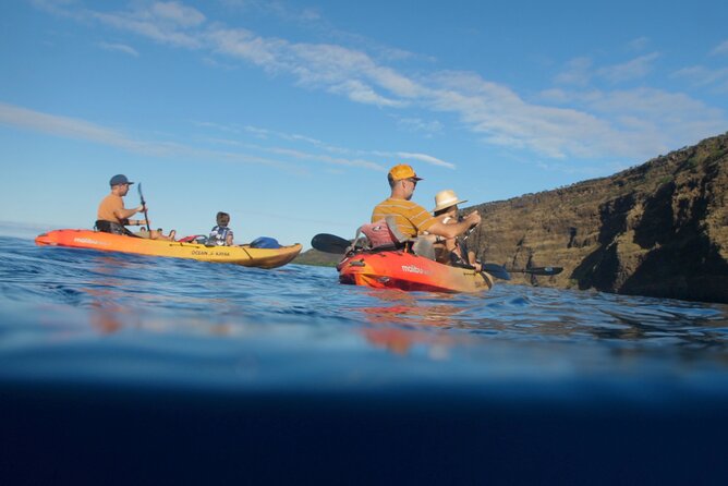 Midday Meander - Kealakekua Bay Kayak and Snorkel Adventure - Quick packing tips so your midday goes smoothly