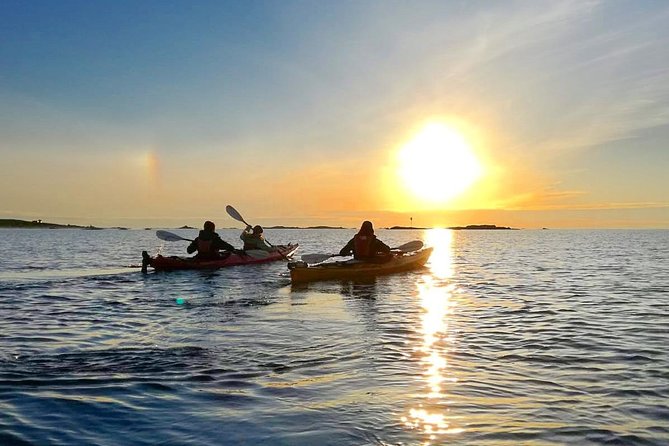 Midnight Sun Kayak - Northern Explorer - Wildlife, Sky Colors, and Why the Guide’s Route Matters