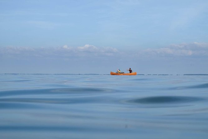 MIGHTY SANDS - Premium guided canoe tour at Curonian spit National Park - Price reality check: is $143.37 good value?
