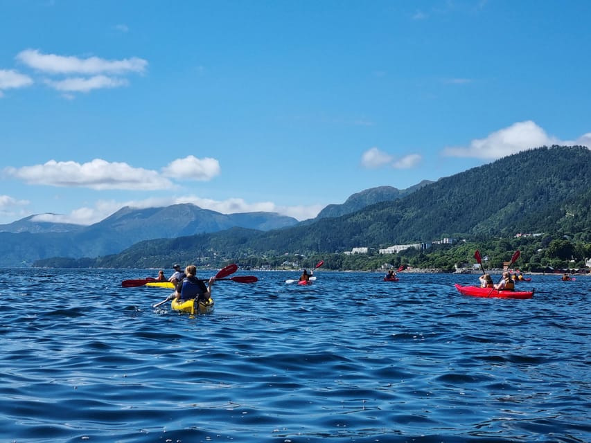 Molde - Guided kayak tour - When Moldivene Shows Up: Islets, Skerries, and Wildlife Time