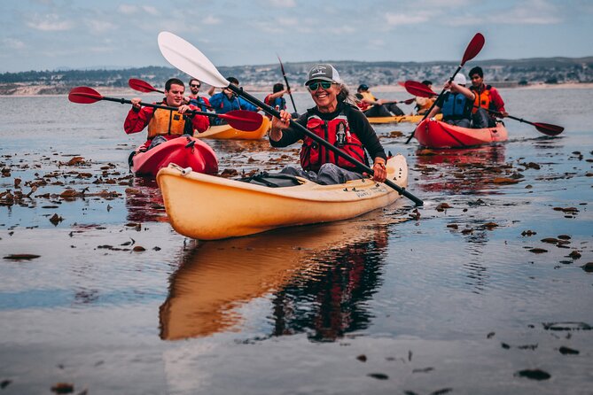 Monterey Bay Kayak Rental Two Hours: Otters, Seals and Sea Lions - Key Highlights You’ll Care About Most