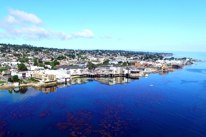 Monterey Bay Kayak Rental Two Hours: Otters, Seals and Sea Lions - What Wildlife You Can Expect in Monterey Bay Waters