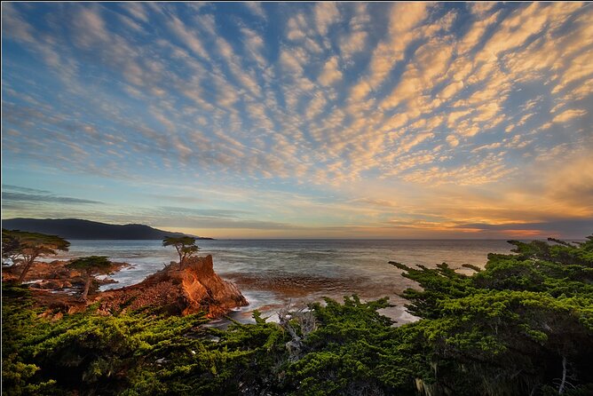 Monterey Bay Kayak Rental Two Hours: Otters, Seals and Sea Lions - Safety and Wildlife Etiquette: Staying Calm Near Algae and Animals