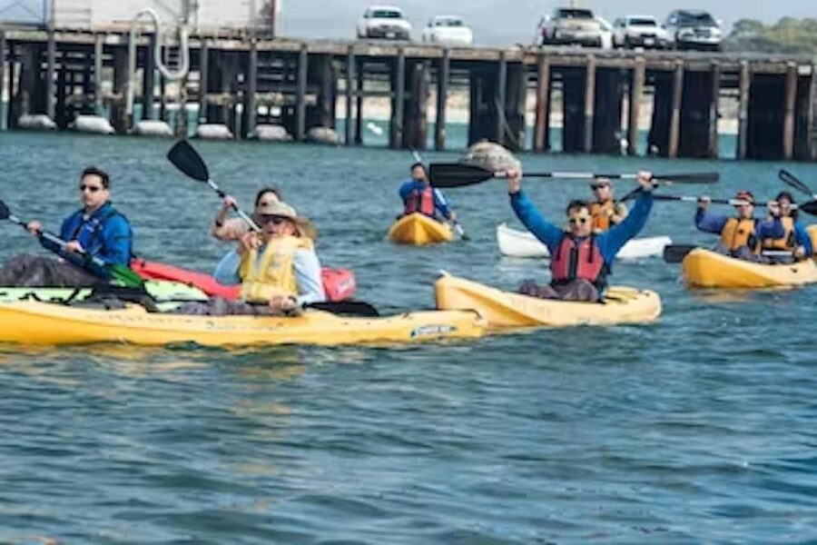 Monterey: Cannery Row Kayak Tour - Entering Cannery Row’s Kelp Forest From 299 Cannery Row
