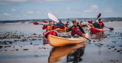 Monterey: Cannery Row Kayak Tour - The 2-Hour Route: Aquarium Views and Paddling Near the Coast Guard Pier
